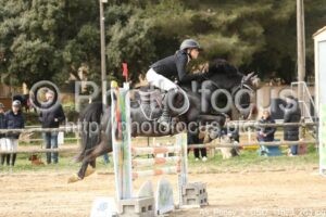 As_Poney_2_CSO_11h23_263.jpg