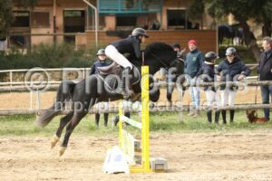 As_Poney_2_CSO_11h23_265.jpg