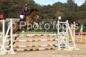 As_Poney_2_CSO_11h25_268.jpg