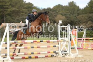 As_Poney_2_CSO_11h31_283.jpg
