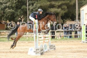 As_Poney_2_CSO_11h31_284.jpg