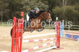 As_Poney_2_CSO_11h32_289.jpg