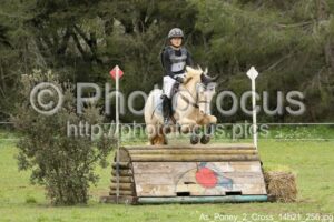 As_Poney_2_Cross_14h21_256.jpg