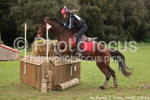 As_Poney_2_Cross_14h25_016.jpg