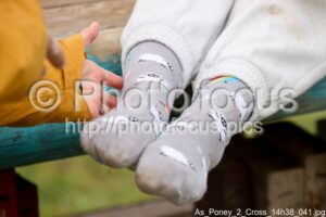 As_Poney_2_Cross_14h38_041.jpg