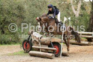 As_Poney_2_Cross_14h41_239.jpg