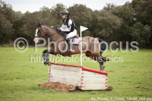 As_Poney_2_Cross_14h49_064.jpg