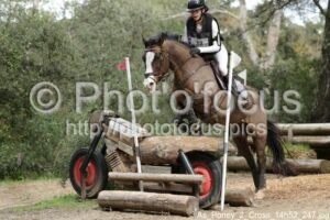 As_Poney_2_Cross_14h52_247.jpg