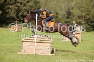 As_Poney_2_Cross_15h00_079.jpg