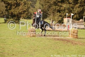 As_Poney_2_Cross_15h42_151.jpg