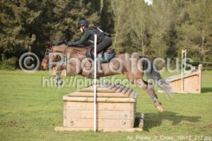 As_Poney_2_Cross_16h12_217.jpg