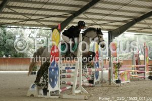 Poney_1_CSO_15h33_001.jpg