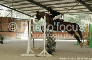 Poney_1_CSO_15h35_005.jpg