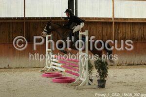Poney_1_CSO_15h36_007.jpg