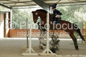 Poney_1_CSO_15h37_009.jpg