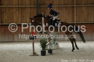 Poney_1_CSO_15h37_011.jpg