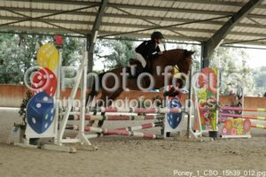 Poney_1_CSO_15h39_012.jpg
