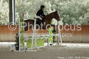 Poney_1_CSO_15h39_014.jpg