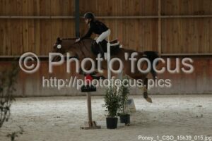 Poney_1_CSO_15h39_015.jpg