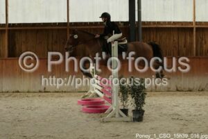 Poney_1_CSO_15h39_016.jpg