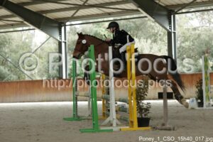 Poney_1_CSO_15h40_017.jpg