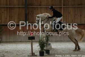 Poney_1_CSO_15h41_021.jpg