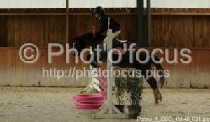 Poney_1_CSO_15h46_031.jpg