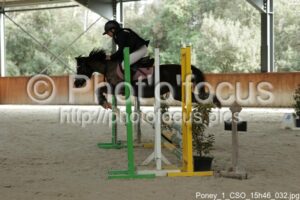 Poney_1_CSO_15h46_032.jpg