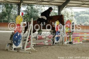 Poney_1_CSO_15h47_033.jpg
