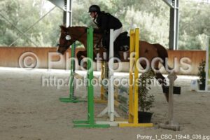 Poney_1_CSO_15h48_036.jpg
