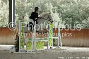 Poney_1_CSO_15h57_045.jpg