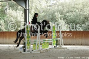 Poney_1_CSO_15h58_049.jpg