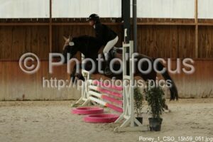 Poney_1_CSO_15h59_051.jpg