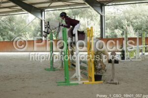 Poney_1_CSO_16h01_057.jpg