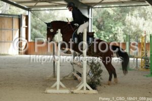 Poney_1_CSO_16h01_059.jpg