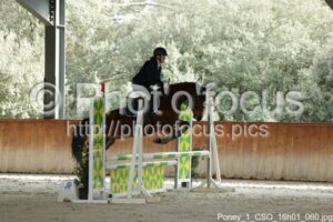 Poney_1_CSO_16h01_060.jpg