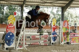 Poney_1_CSO_16h05_063.jpg