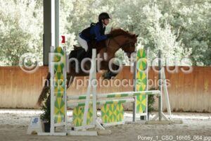 Poney_1_CSO_16h05_064.jpg