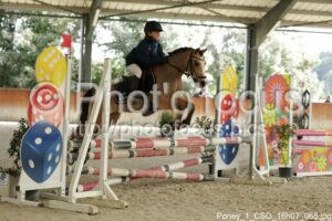 Poney_1_CSO_16h07_065.jpg