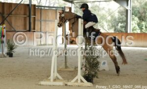 Poney_1_CSO_16h07_066.jpg