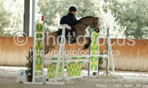Poney_1_CSO_16h07_067.jpg
