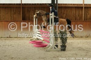 Poney_1_CSO_16h08_068.jpg