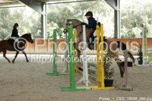 Poney_1_CSO_16h08_069.jpg