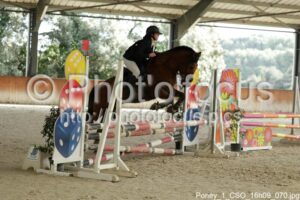 Poney_1_CSO_16h09_070.jpg