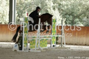 Poney_1_CSO_16h09_071.jpg