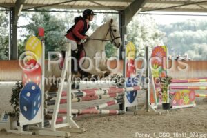 Poney_1_CSO_16h11_073.jpg