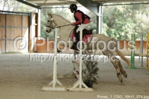 Poney_1_CSO_16h11_074.jpg