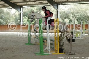 Poney_1_CSO_16h12_077.jpg