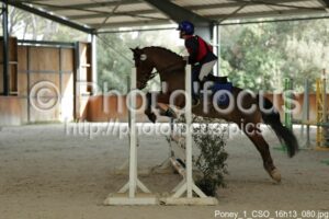 Poney_1_CSO_16h13_080.jpg