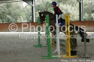 Poney_1_CSO_16h14_083.jpg